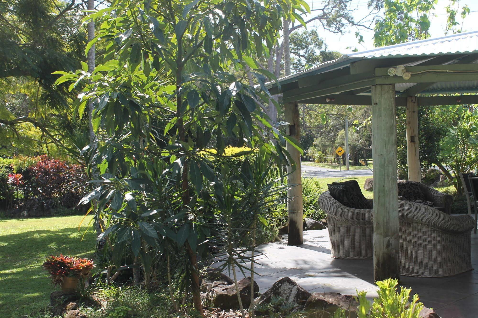 Buderim Fiesta 3*